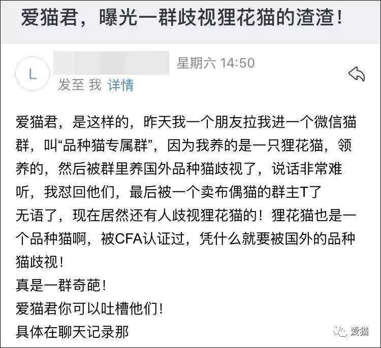 “我加入一个品种猫群，却因为养狸花猫被歧视了！”