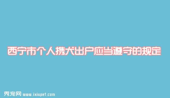 西宁市个人携犬出户应当遵守的规定