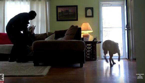 当有人入室抢劫，狗狗会怎么做？一个实验证明：越大的狗越怂！