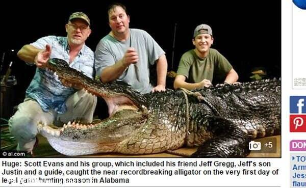 美国捕获417公斤巨型鳄鱼似恐龙