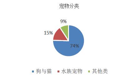 猫和狗子的智商相比，今天终于出结果了！没想到竟是....