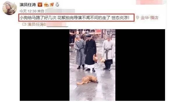 曝光|剧组为拍戏，把狗狗绑起来让马踢引众怒