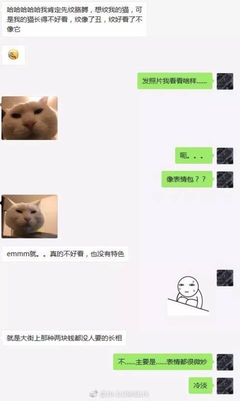 铲屎官想把自家猫文在身上，文身师看了猫的照片都要笑喷了…