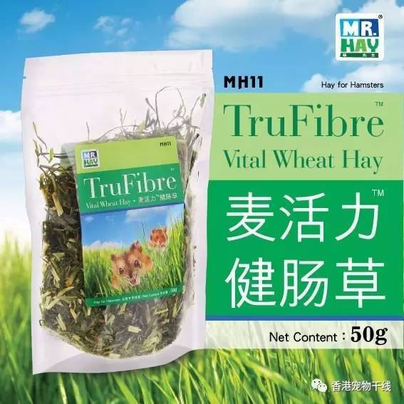 <产品>麦活力健肠草！调节肠道菌落平衡！让仓鼠更有活力！