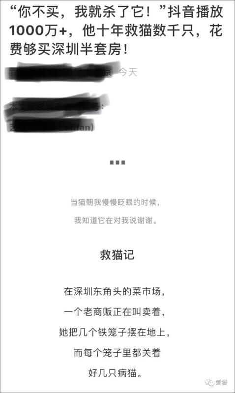 这个流浪猫救助诈骗分子火了，成了网红，是这个时代的最大悲哀!