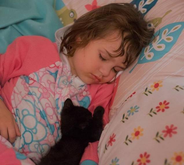 黑色小奶猫一天睡20小时，还拍照资助流浪喵同胞
