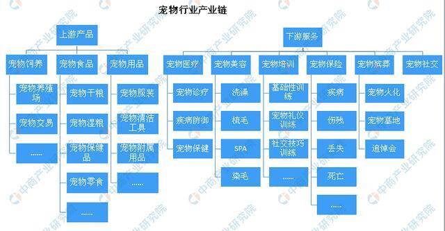 宠物行业发展前景光明 人口老龄化推动宠物行业发展