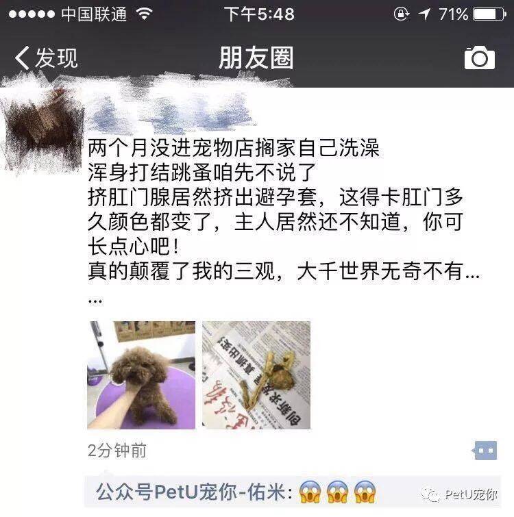 2个月没洗澡，狗狗肛门腺里挤出避孕套......