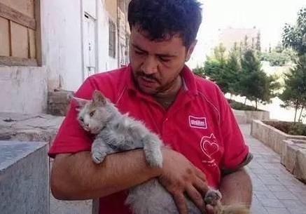 为照顾流浪猫，叙利亚男子放弃逃离战乱城市...