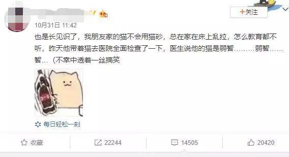 我家的猫狗是弱智？