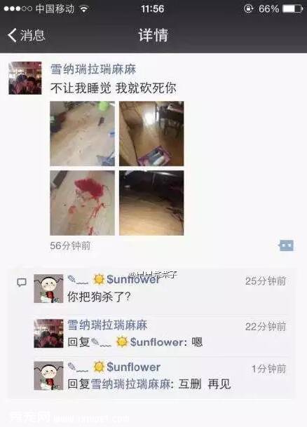 情侣领养流浪狗嫌太吵 砍掉后腿发虐狗照引网友人肉【图】