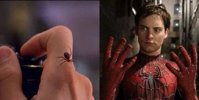 如果人被蜘蛛咬后会变成蜘蛛侠，那被猫咬了的话就会变成这样...