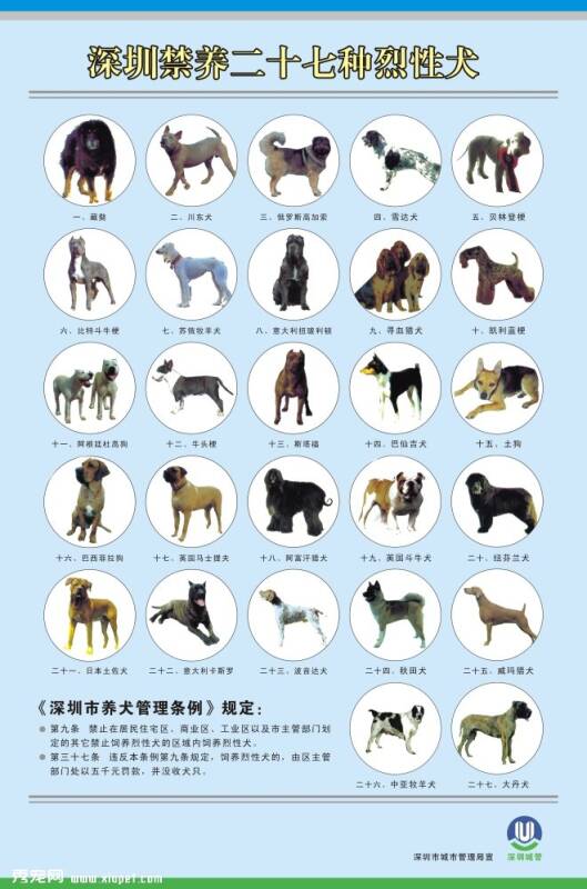 深圳27种禁养犬种名单，你家狗狗在其中吗？