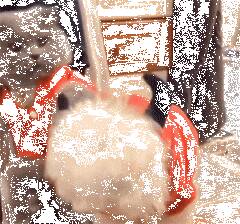 喵看了一眼汪衣服上的角，好奇的一口咬过去，结果....