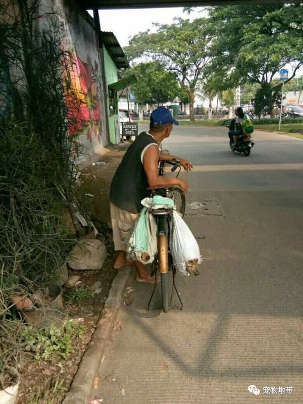 心痛！！！2只狗狗被绑住嘴塞在麻布袋里，救出后画面让人辛酸…