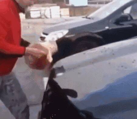 一只流浪猫因躲在车底取暖，结果被男子发现，直接抓起放在桶里浸湿用来洗车！