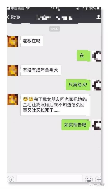 如果你的男友把你的狗养死了，你会怎样？