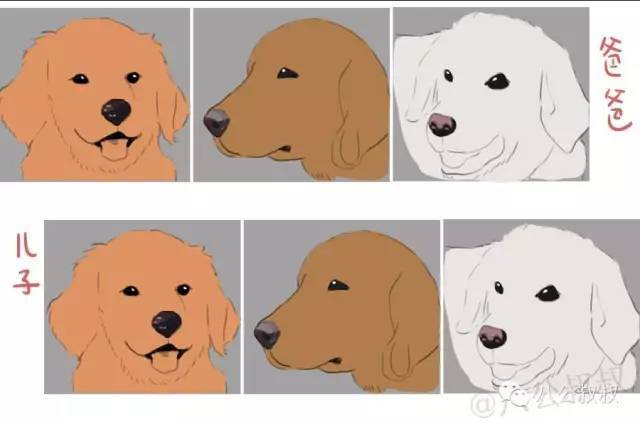 为什么狗狗鼻头会褪色？