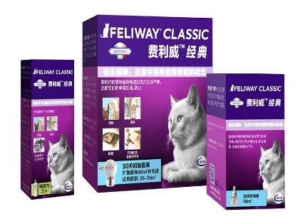 猫咪的快乐使者，费利威旗舰店盛大开业