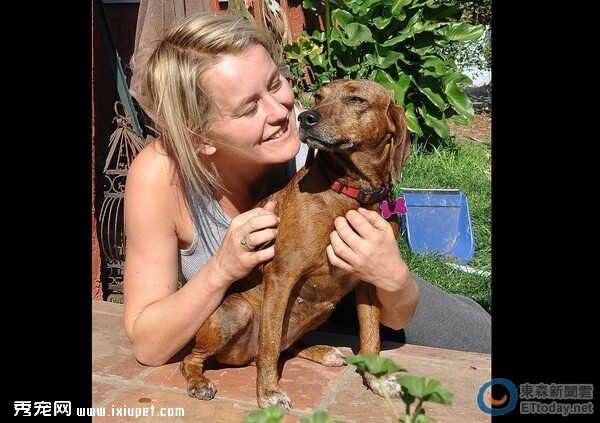 英国王室收养台湾受虐待的流浪犬