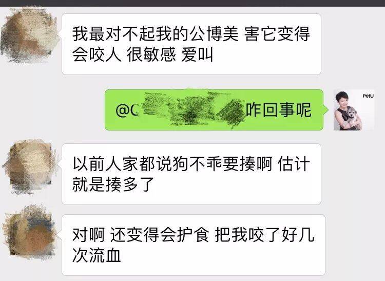 养狗这些年，你最内疚的事是什么？