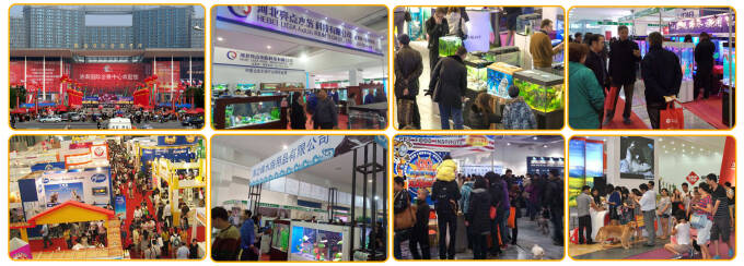 2016第二届中国(山东)国际宠物水族用品展览会