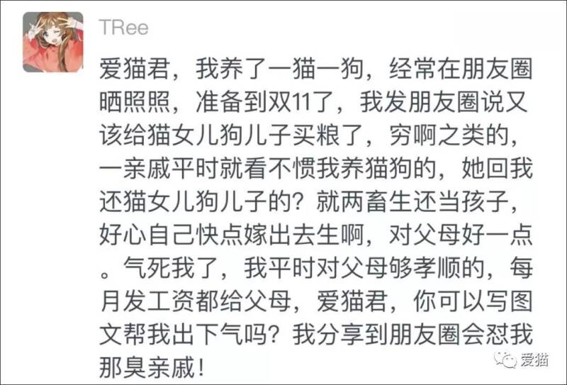 “我把猫狗当孩子养，怎么了？”