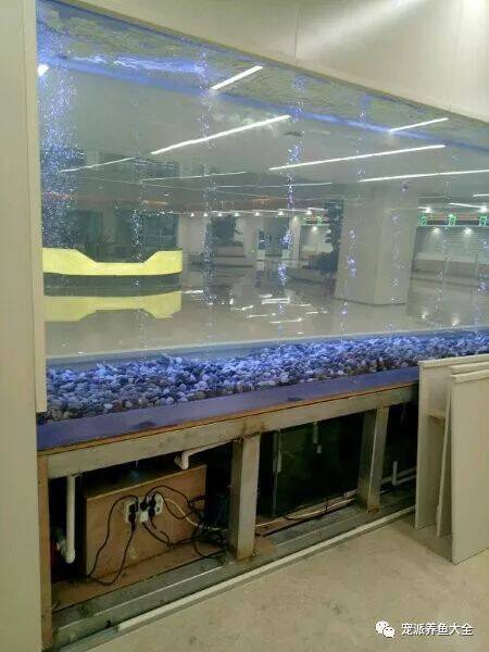 医院建了一个20米的大鱼缸，鱼友们都期待放什么鱼进去……