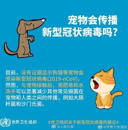 注意了!疫情期间你的宠物也需加强防护!