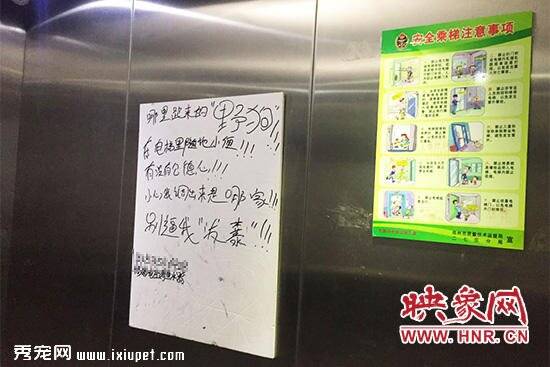 宠物狗电梯里撒尿不清理 郑州一小区居民留言对骂