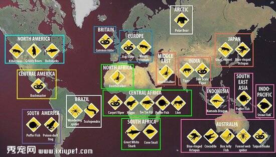 世界危险动物大盘点：见到他们有多远躲多远（图）