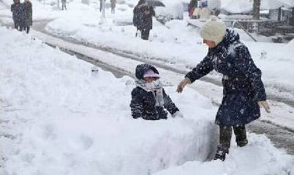 土耳其突降大雪，流浪狗竟然受到了这样的待遇...