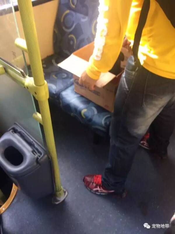 男子上公车「抱着会动的纸箱」吓坏乘客，「纸箱发出的声音」让大家倍感感动！