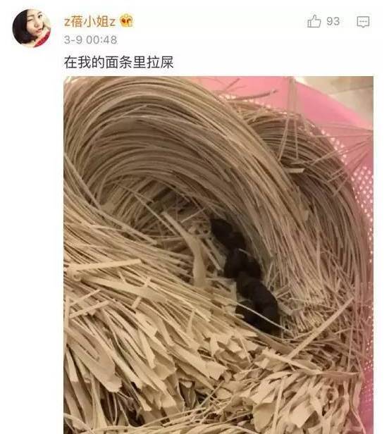 感受一下，看完后大概不太想养猫了....