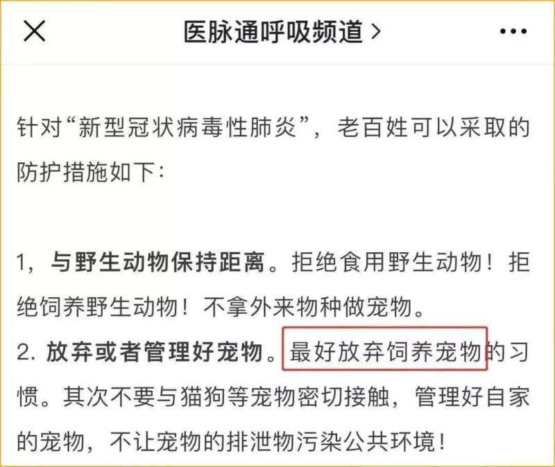 武汉肺炎最让人愤怒的事：最好弃养你的宠物/拒绝接触宠物!