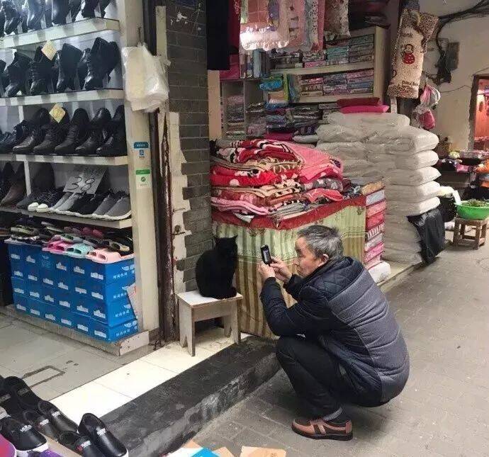 猫奴大叔在逛街时偶遇一只喵，猫瘾发作，于是…