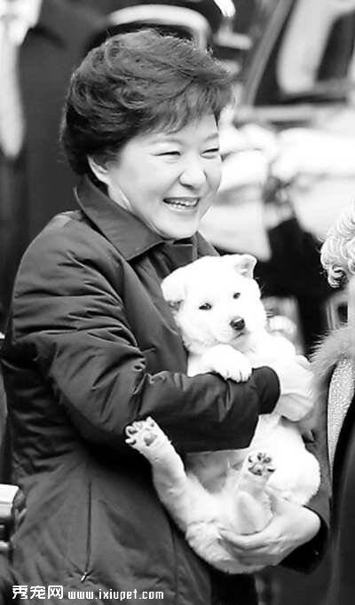 韩国总统朴槿惠求给汪星人宝宝取名