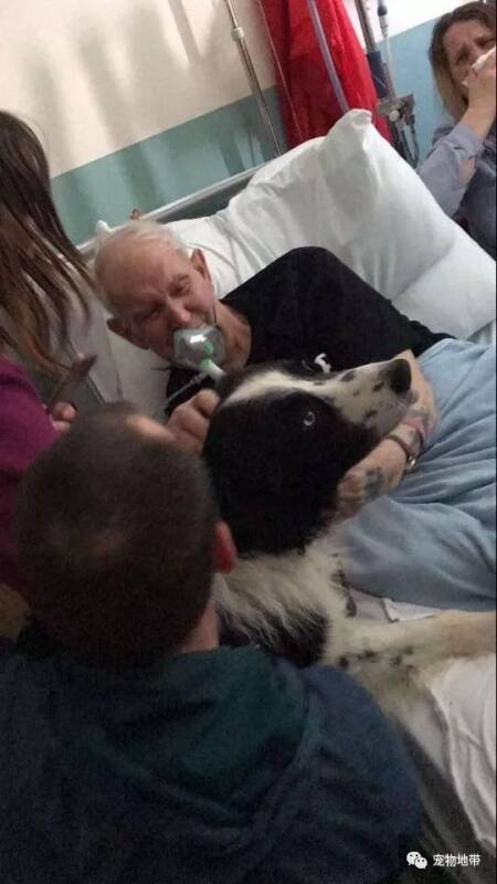 将死老人最后心愿 “让我见爱犬最后一面　”医院破例让他们团聚