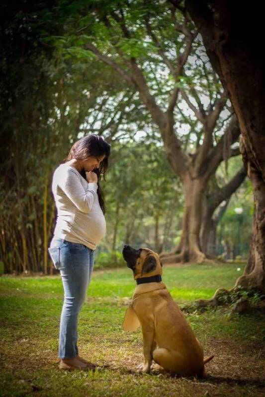 怀孕必须把狗扔掉？面对家人朋友的迷信思想，看看这位勇敢的姑娘是怎么做的！