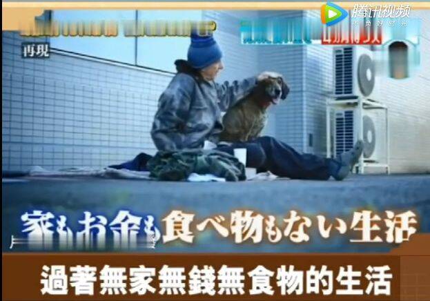 狗狗在医院门口徘徊了四个月不肯离去，护士上前说出的真相让人肃然起敬...