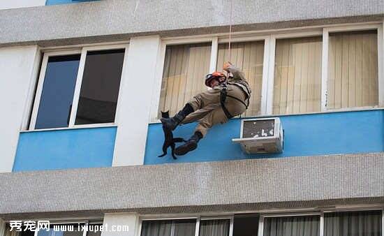 小猫咪悬吊在六楼空中消防员前解救