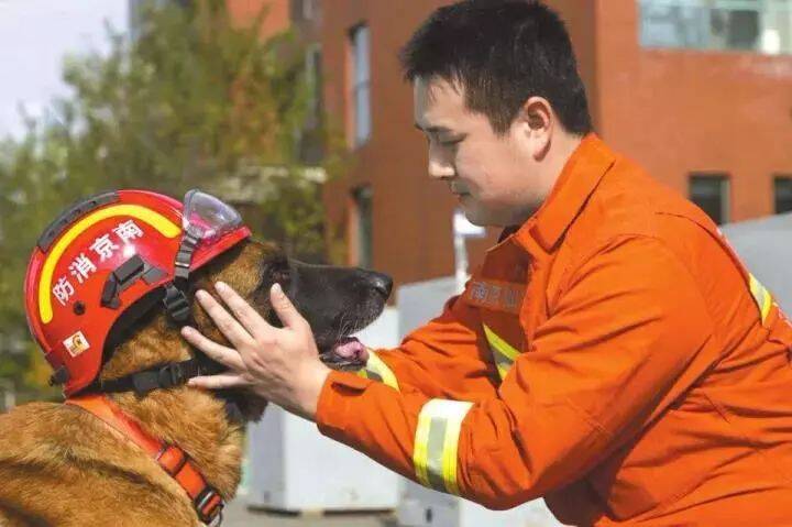 他带搜救犬一起退伍，战士：余生的日子我会一直陪着你