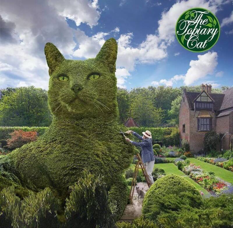 把花丛变成大猫，简直是猫奴的最爱啊！