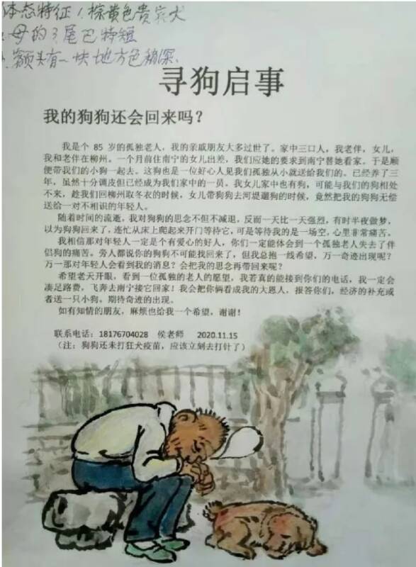 年迈夫妻寻狗启示：我的狗狗还会回来吗？