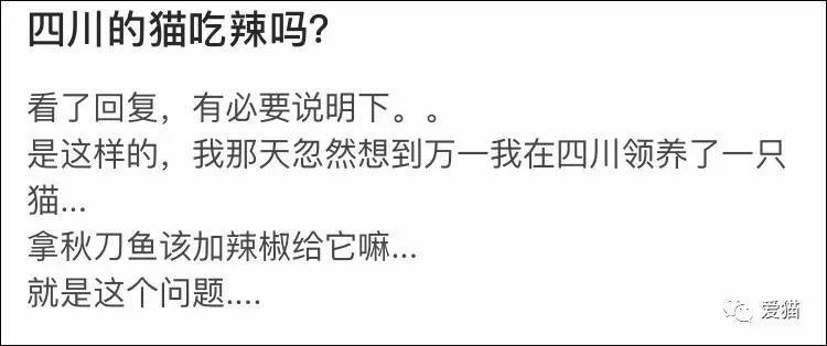 有人问:"四川的猫能吃辣吗？" 各地网友回复有毒，太搞笑了！