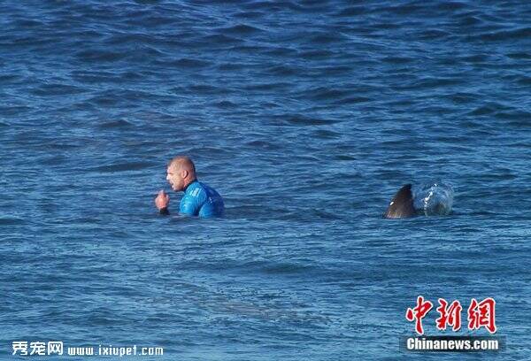澳大利亚著名冲浪运动员比赛期间遭鲨鱼袭击