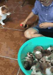 这就是传说中的一孕傻三年吧。。