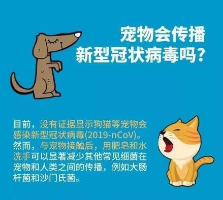 宠物犬猫不传染新冠病毒,疫情时期不离不弃!