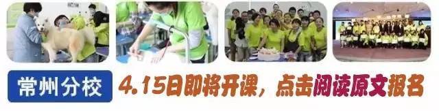 喜报：重庆陈先生成功加盟圣宠，「4月」加盟「零基础」成功开店，倒计时16天！