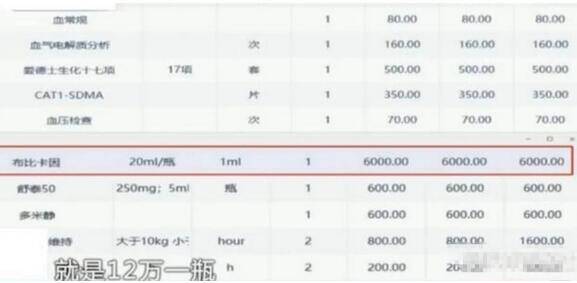 天价宠物治疗费,给狗打一针120000宠物医院非法获取假药!